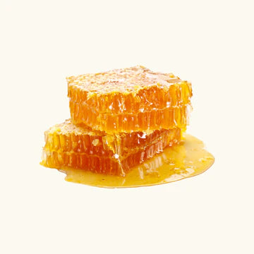 QUEENSLAND MANUKA HONEY